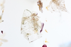 Organic Fragility