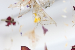 Organic Fragility